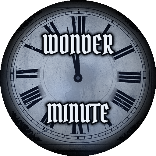 Wonder Minute logo